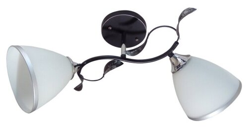 Люстра потолочная, светильник подвесной JUPITER LIGHTING N10-2709/2, E27, 2х60 Вт