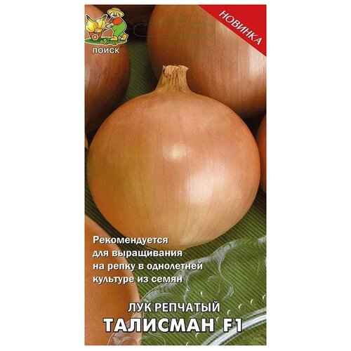 Лук репчатый 