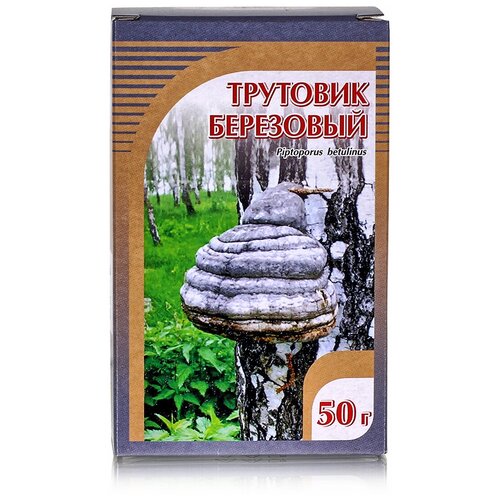 Хорст гриб Трутовик березовый, 50 г