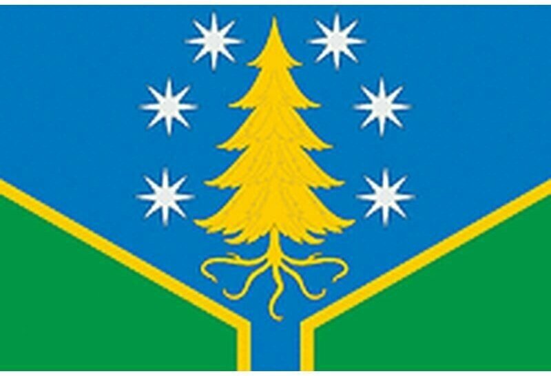 Флаг Должниковского сельского поселения. Размер 135x90 см.