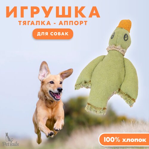 Игрушка для собак тягалка-аппорт 30 см, PetTails DUCK, (100% хлопок, набивка) 0248 дарэлл игрушка для собак тягалка аппорт утка 30см 100% хлопок набивка