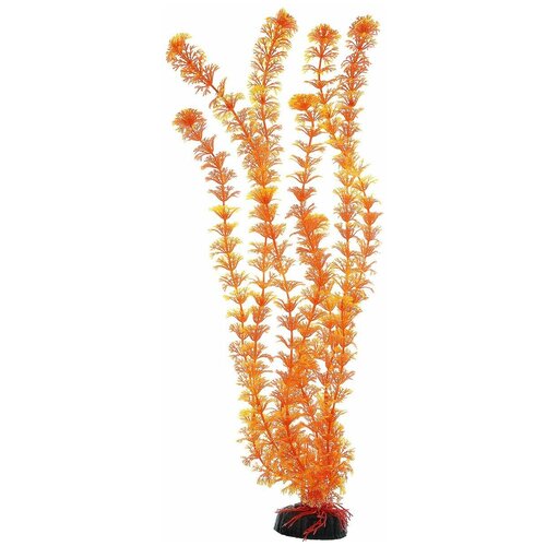 растение пластик 10см кабомба оранжевая 1 1 Растение для аквариума пластиковое Кабомба оранжевая, BARBUS, Plant 021 (50 см)