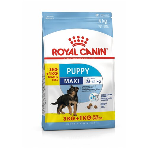 Сухой корм для щенков Royal Canin при чувствительном пищеварении, для здоровья костей и суставов 4 кг (для крупных пород) (1 кг в подарок)