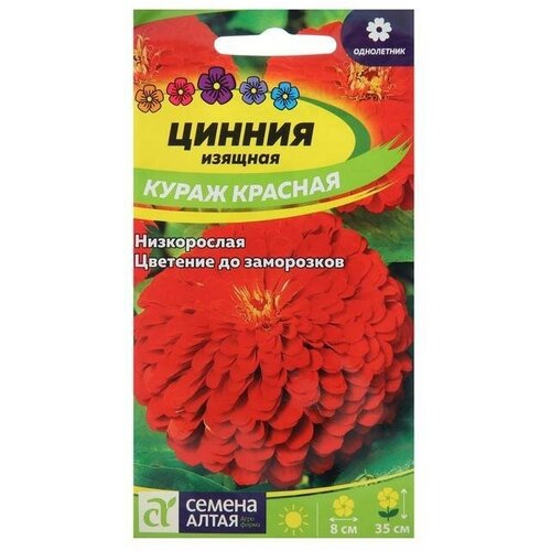 Семена цветов Цинния Кураж, красная, карликовая 0,3 г 8 упаковок