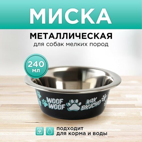 Миска металлическая для собаки «Дай! Ещё хочу!», 240 мл, 11х4 см миска металлическая для собаки дай ещё хочу 240 мл 11х4 см