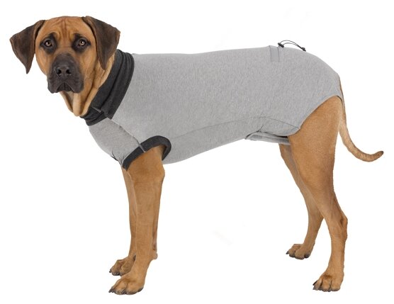 Попона для собак Trixie Protective Body, размер M–L, размер 50см., серый - фотография № 5