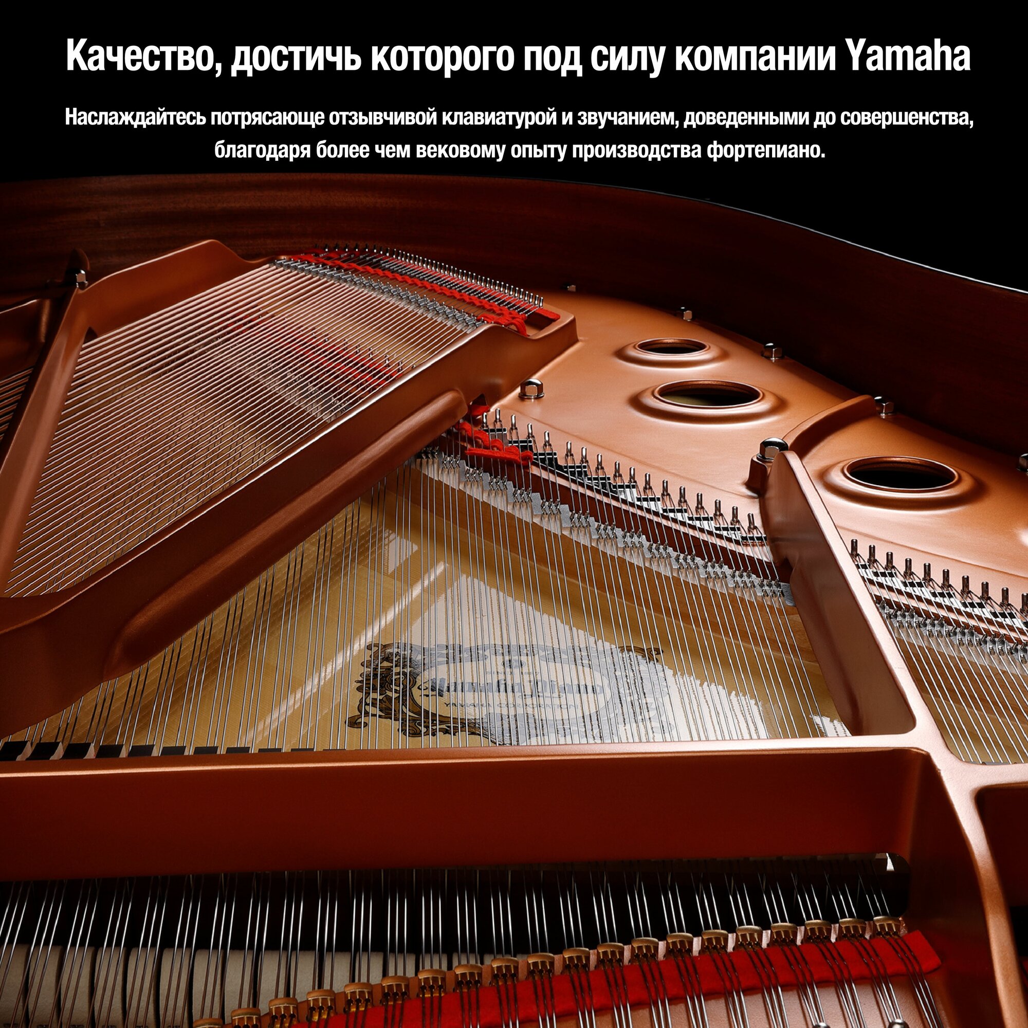 Цифровое фортепиано Yamaha - фото №18