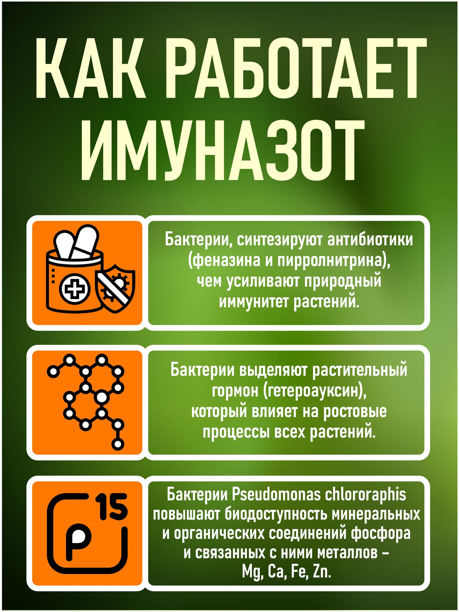 Биофунгицид Pseudоmonas, псевдомонада, удобрение "Имуназот" защита от болезней, 5 литров - фотография № 3