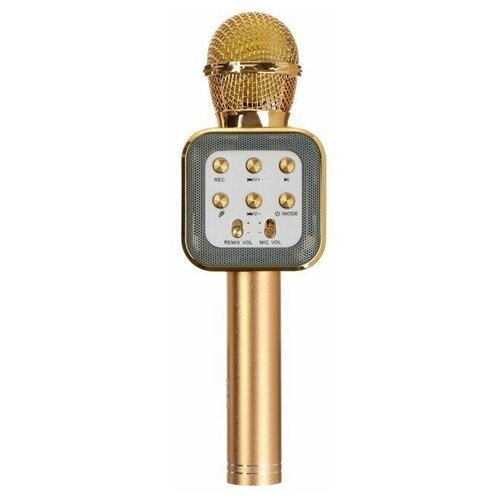 Belsis Микрофон для караоке Belsis MA3002BK, 3 Вт, 1200 мАч, Bluetooth, FM, microSD, золотой