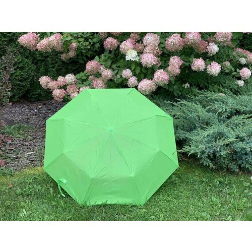 Зонт зеленый мини зонт механика 2 сложения синий
