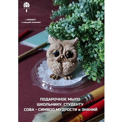 ежедневник учительнице литературы подарок на выпускной последний звонок 1 сентября Подарочное мыло ручной работы Сова/ Подарок школьнику на 1 Сентября/ Последний звонок/Выпускной