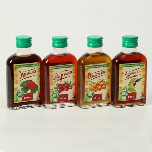 Подарочный набор сиропов Алтайская корзинка 2 4 шт по 100 мл 1620₽