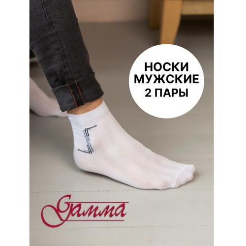 фото Носки гамма, 2 пары, размер 25-27 (39-43), белый