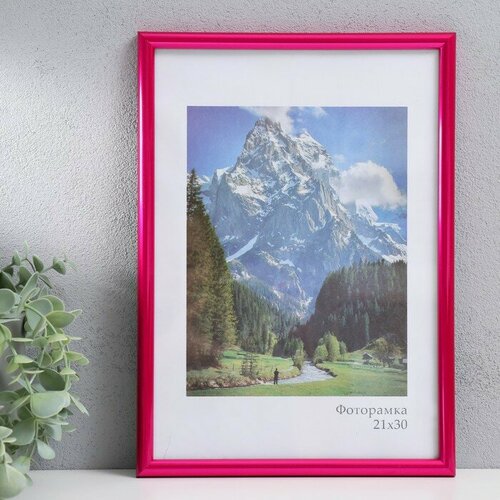 красный, фиолетовый