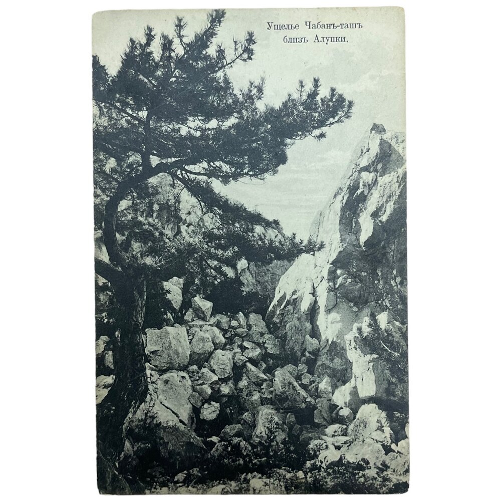 Почтовая открытка "Ущелье Чабан-таш, близ Алупки" 1900-1917 гг. Российская Империя (Лот № 2)