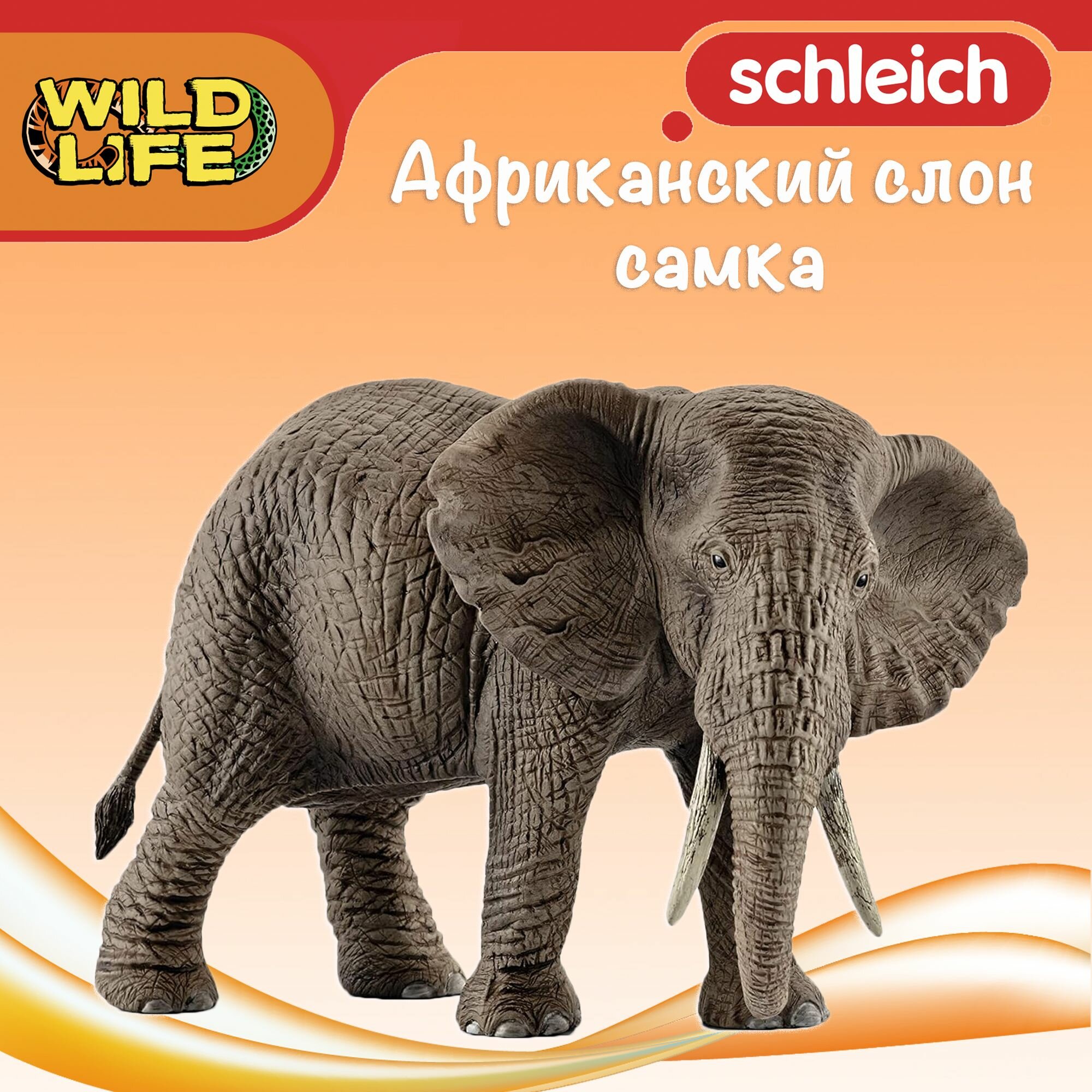 Schleich Wild Life Фигурка "Африканский слон самка", для детей от 3 лет, 14761