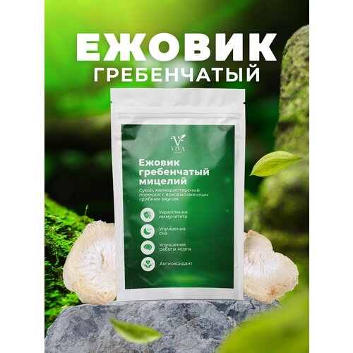 Ежовик гребенчатый мицелий 100 грамм/ VivaNatur