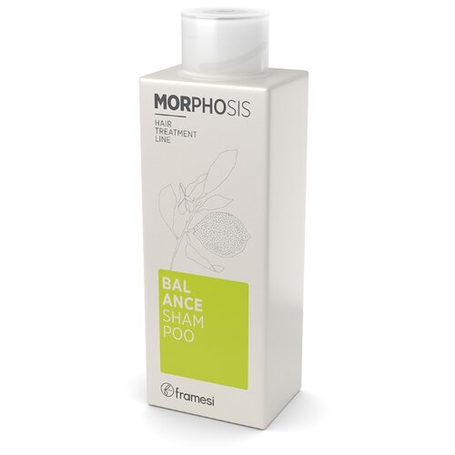 фото Framesi шампунь balance