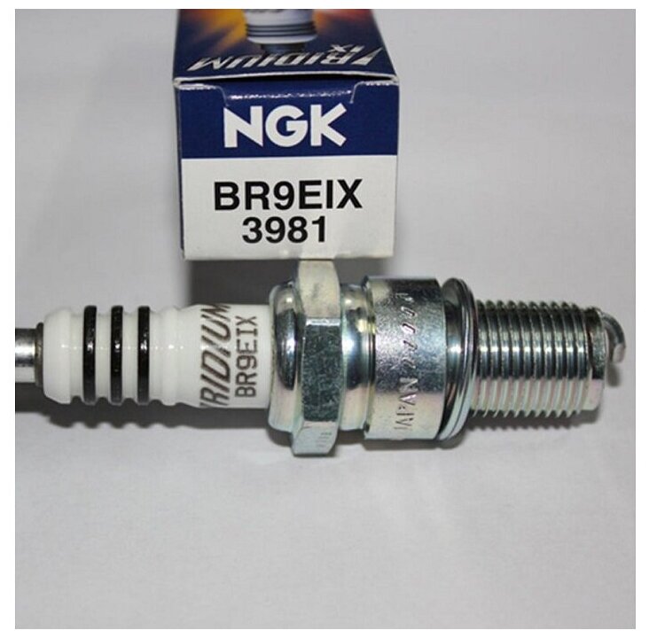 NGK 3981 BR9EIX