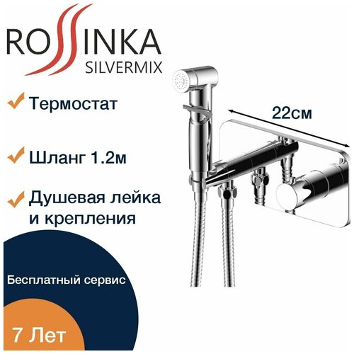 Смеситель встраиваемый для биде Rossinka Silvermix X25-59 смеситель для биде rossinka x25 58