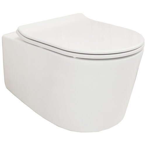 Унитаз подвесной Creo Rennes 2.0 RE1100R безободковый, с микролифтом