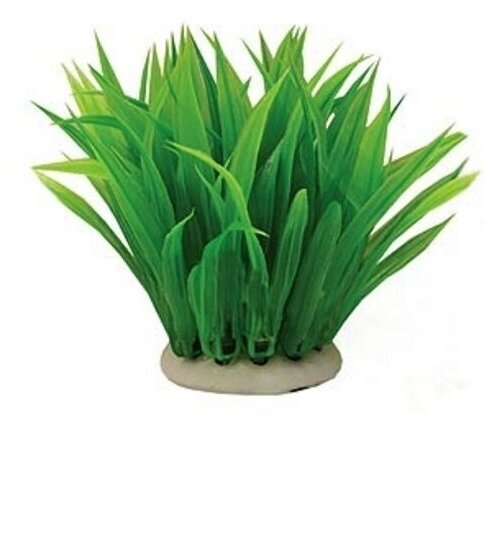 Растение Тритон пластмассовое 12 см Y12108148 куст