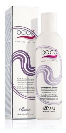 Шампунь дающий блеск волосам и тонирующий седые волосы / BACO 250 мл