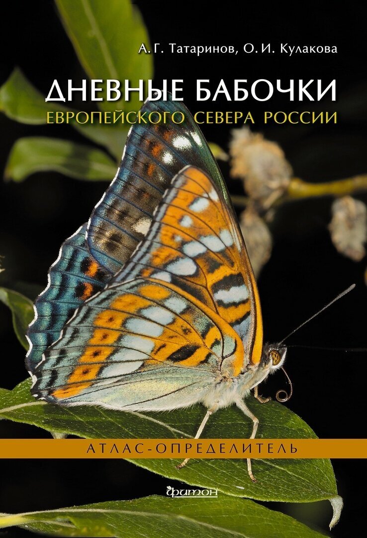 Дневные бабочки Европейского Севера России. Атлас-определитель - фото №2