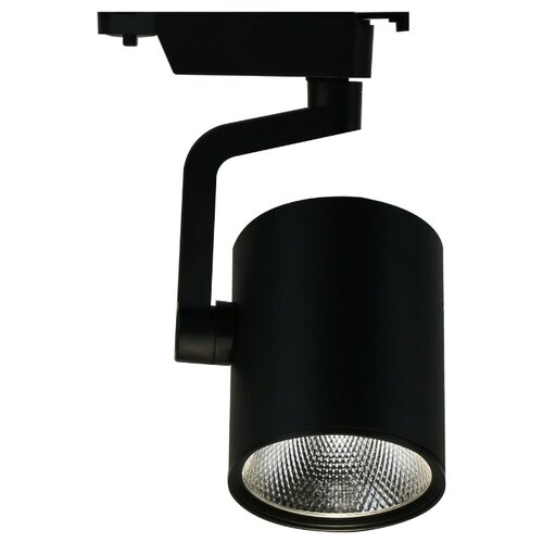 фото Шинная и трековая треки traccia a2320pl-1bk arte lamp