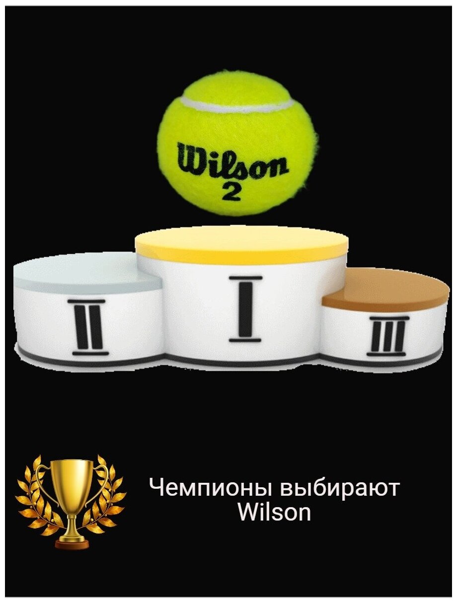 Набор мячей для большого тенниса Wilson ROLAND GARROS ALL CT, 3 шт, Мультицвет - фото №11