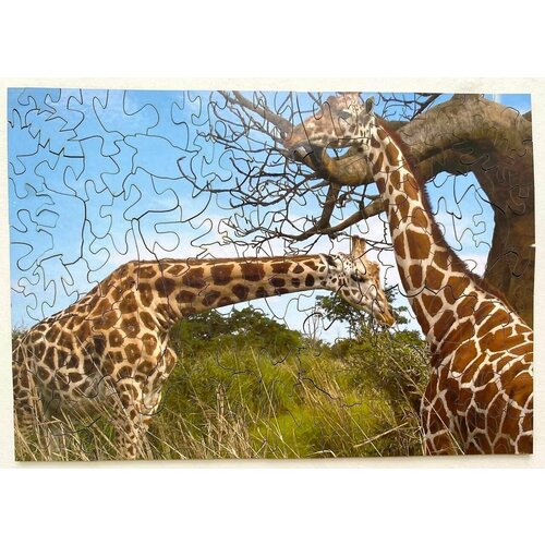 Пазл деревянный Жирафы в саванне, 20*28 см, 150 деталей