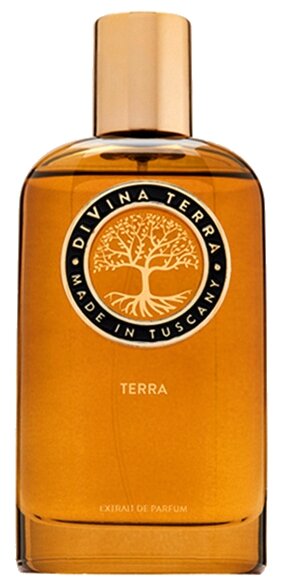 DiVina Terra духи Terra