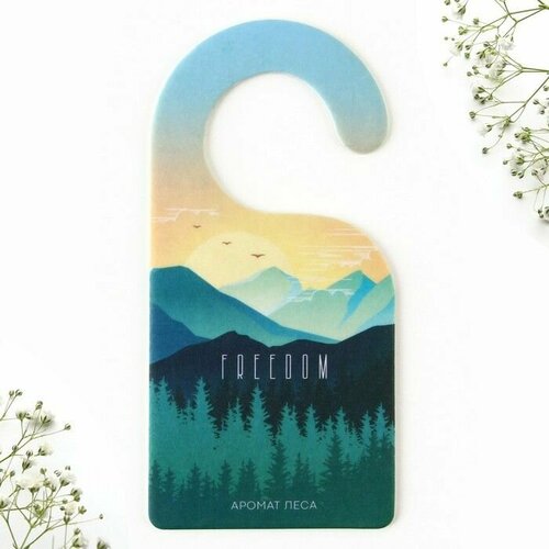 Ароматизатор для дома саше Freedom аромат леса 6 х 125 см 455₽