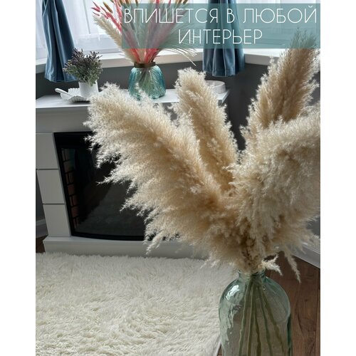 Пампасная трава высокая 105см, Сухоцветы для декора Family St 350гр, 5 веток