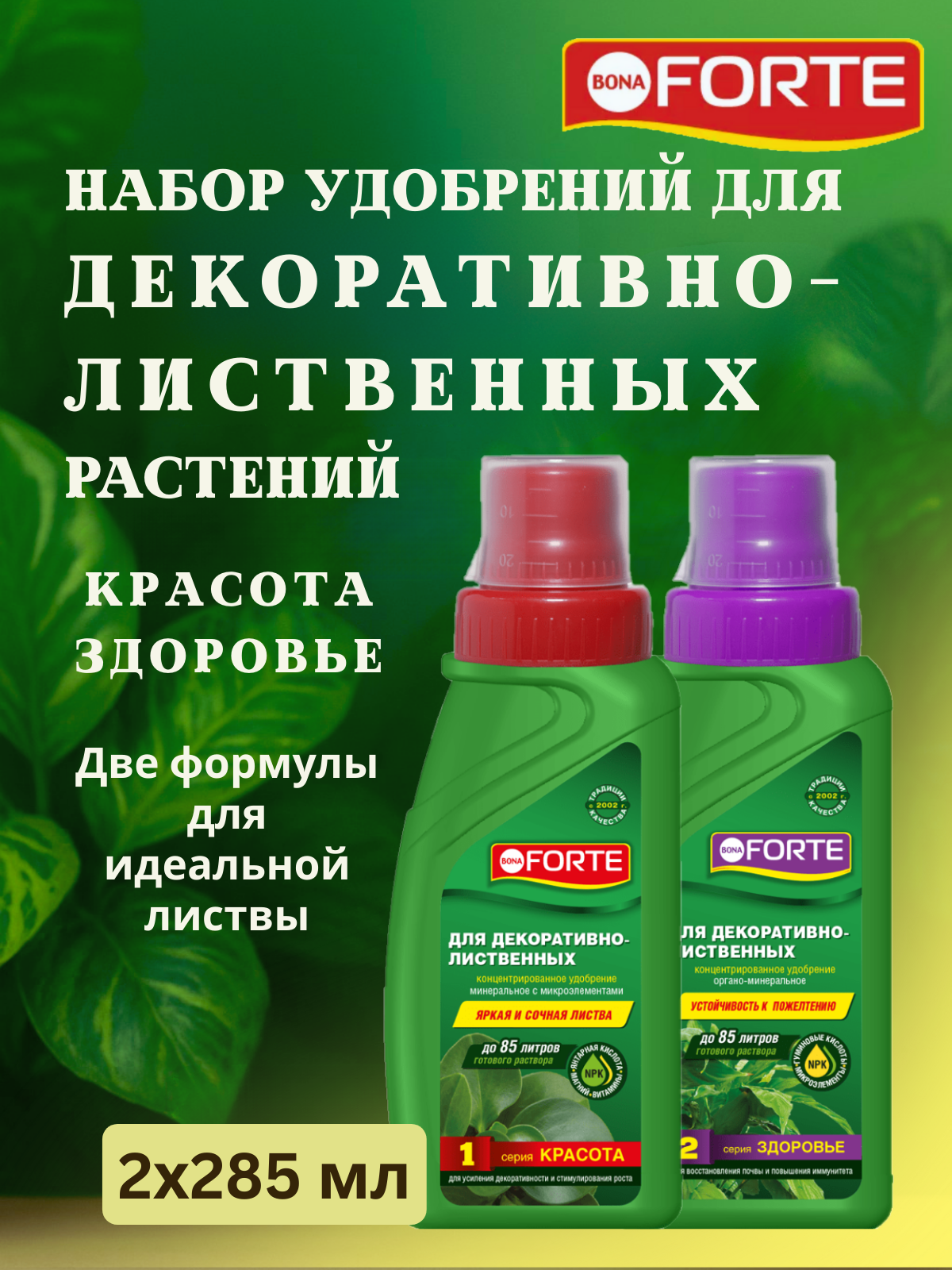 Набор жидких удобрений для декоративно-лиственных красота + здоровье Bona Forte концентрат 2х285 мл