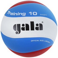 Волейбольный мяч Gala Training 10