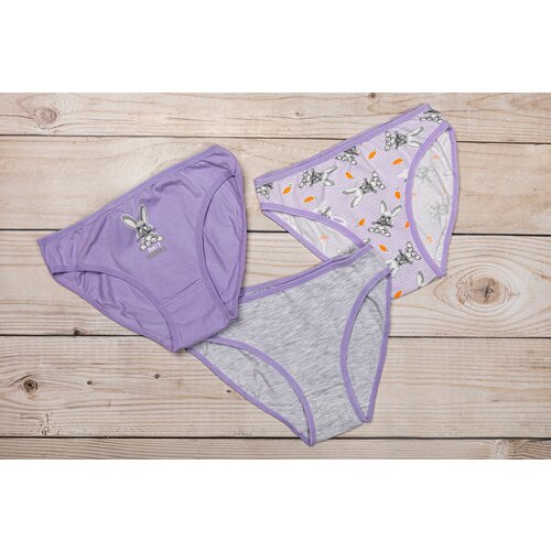 фото Трусики для девочек (3шт.) domi kids, размер 122-128