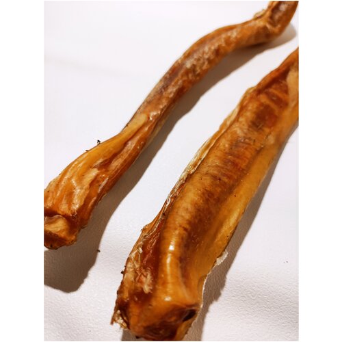 FOODDOG/Бычий корень 30 см/Лакомство для собак 90 гр/2 шт