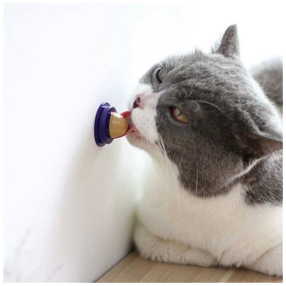 Витаминный мясной лизун для кошек Cat's Way - фотография № 2