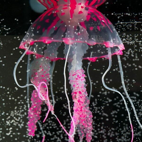 Декор для аквариума"Медуза" силиконовая, с неоновым эффектом, 10 х 10 х 20,5 см, розовая 7108871 . - фотография № 10