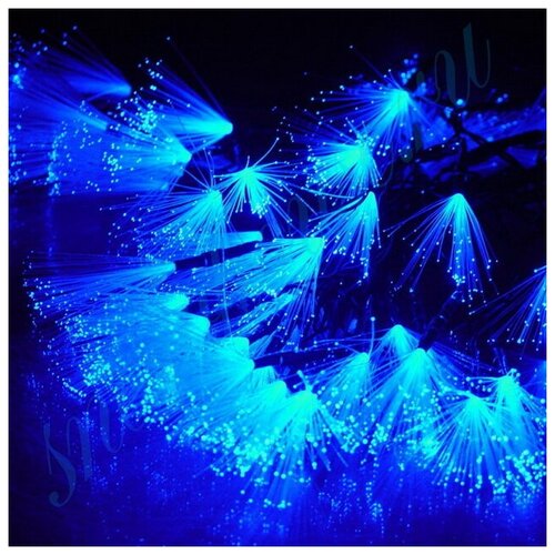 Snowhouse Светодиодная гирлянда Кисточки 48 синих LED ламп 6.5 м, черный ПВХ LD048C-B-FB