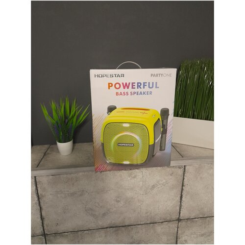 Портативная колонка Hopestar Party One 1069000₽