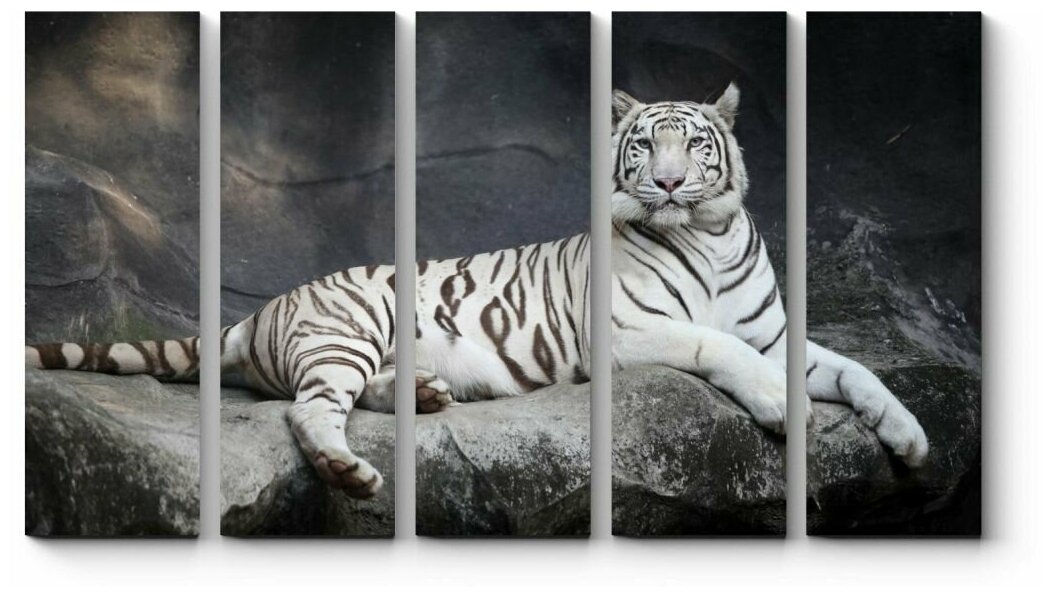 Модульная картина Величественный белый тигр 100x60
