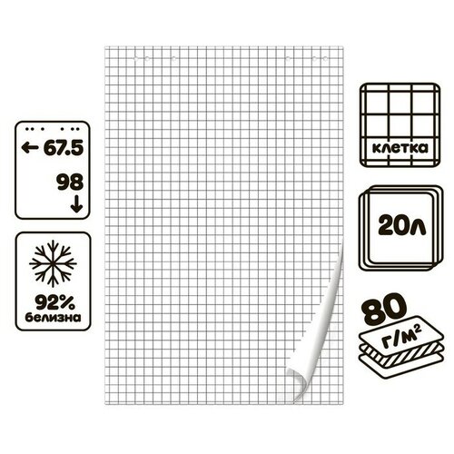 Блокнот для флипчарта в клетку Calligrata, 67.5 х 98 см, 20 листов, 80 г/м2, белизна 92% блокнот be smart коллекция joke точки 80 листов в клетку 15 6 х 20 7 см