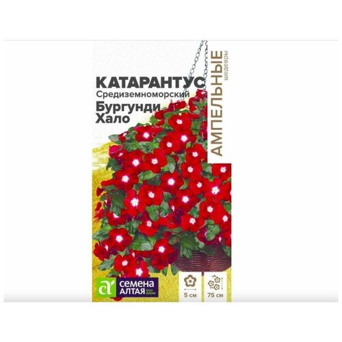 семена перца ливадия партнер Семена Катарантус Бургунди Хало 7шт 1 уп