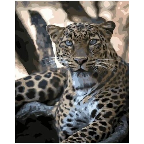 Картина по номерам Леопард на отдыхе 40х50 см