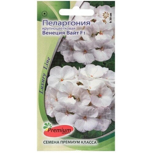 Семена цветов Пеларгония Венеция Вайт , крупноцветковая, О, 5 шт 1 упаковка