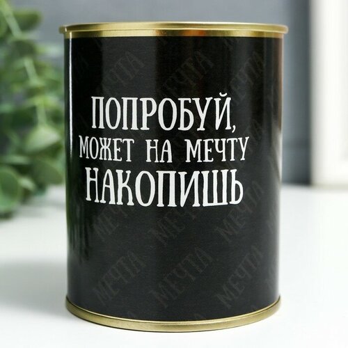 Копилка-банка металл Попробуй может на мечту накопишь 1шт 440₽