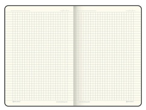 Ежедневник BRAUBERG Metropolis X, недатированный, A5, 160стр., 80лист., в клеточку, кремовые страницы, оранжевый - фото №12