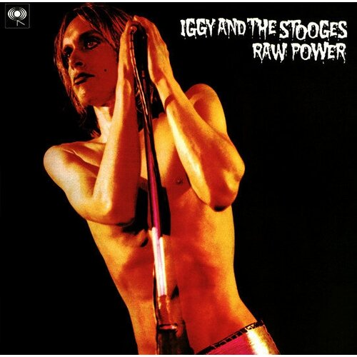 мужская футболка с принтом хипстерская футболка iggy and the stooges iggy pop черная мужская футболка с принтом гаража панк рок куклы нью йорка Pop Iggy And Stooges Виниловая пластинка Pop Iggy And Stooges Raw Power